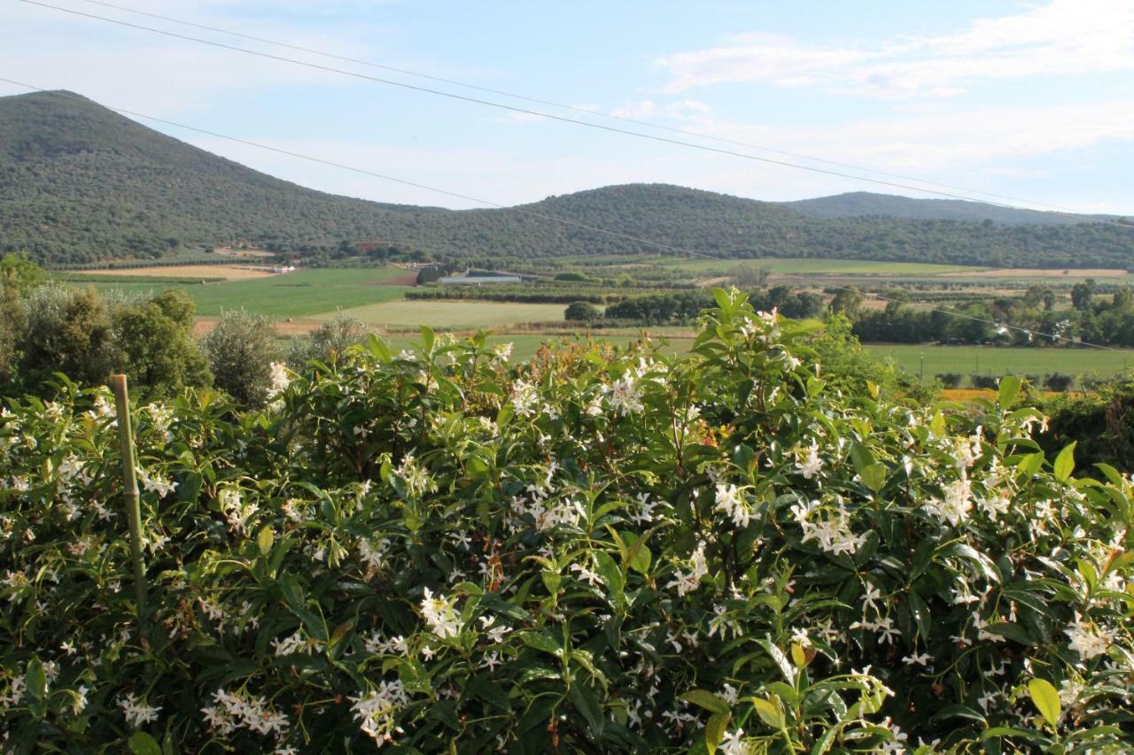 Agriturismo Podere Montenero Alberese Kültér fotó